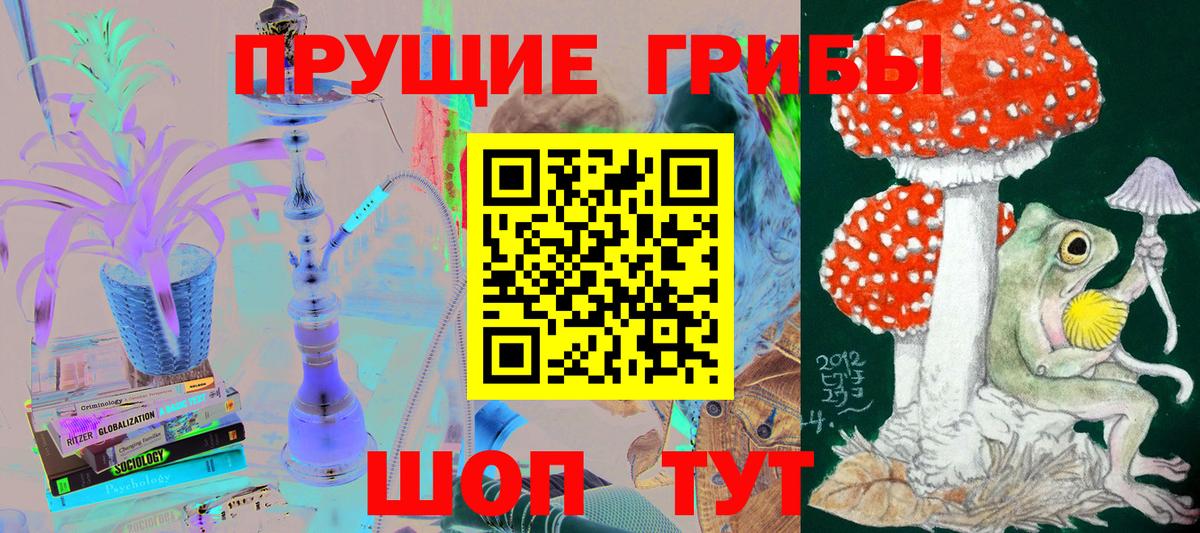 Псилоцибиновые грибы Cubensis  Вход с VPN  Дедовск 