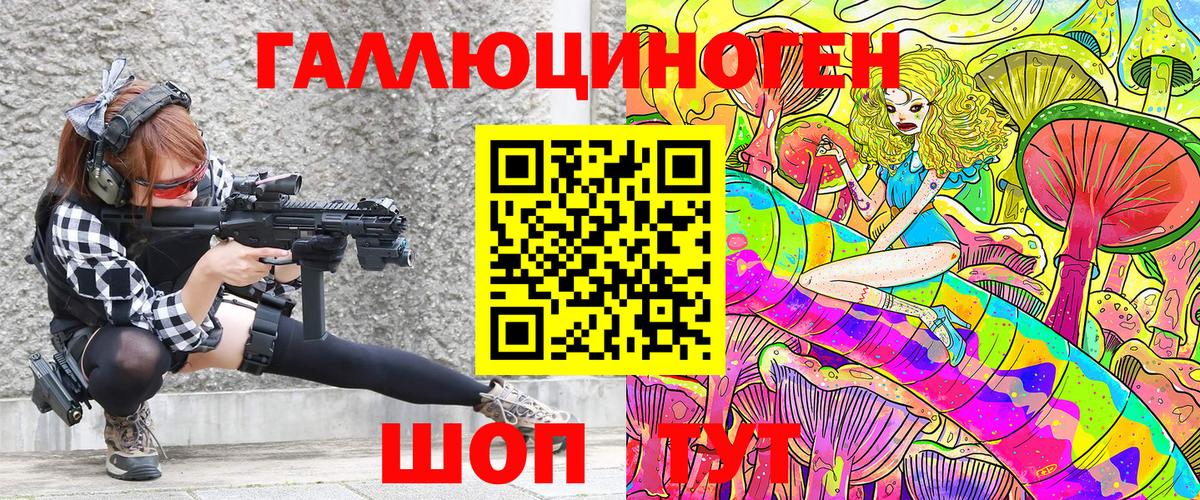 Галлюциногенные грибы Psilocybine cubensis Дедовск